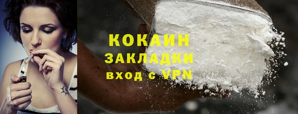 PSILOCYBIN Верея