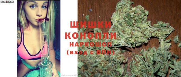 PSILOCYBIN Верея