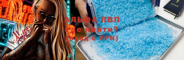 PSILOCYBIN Верея