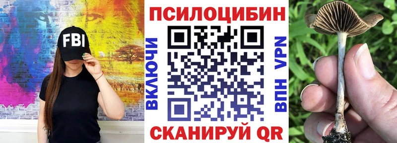 МЕГА ССЫЛКА  Южноуральск  Псилоцибиновые грибы GOLDEN TEACHER  сколько стоит 